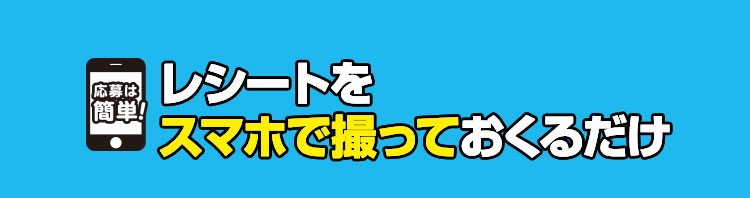レシートを撮っておくるだけ!