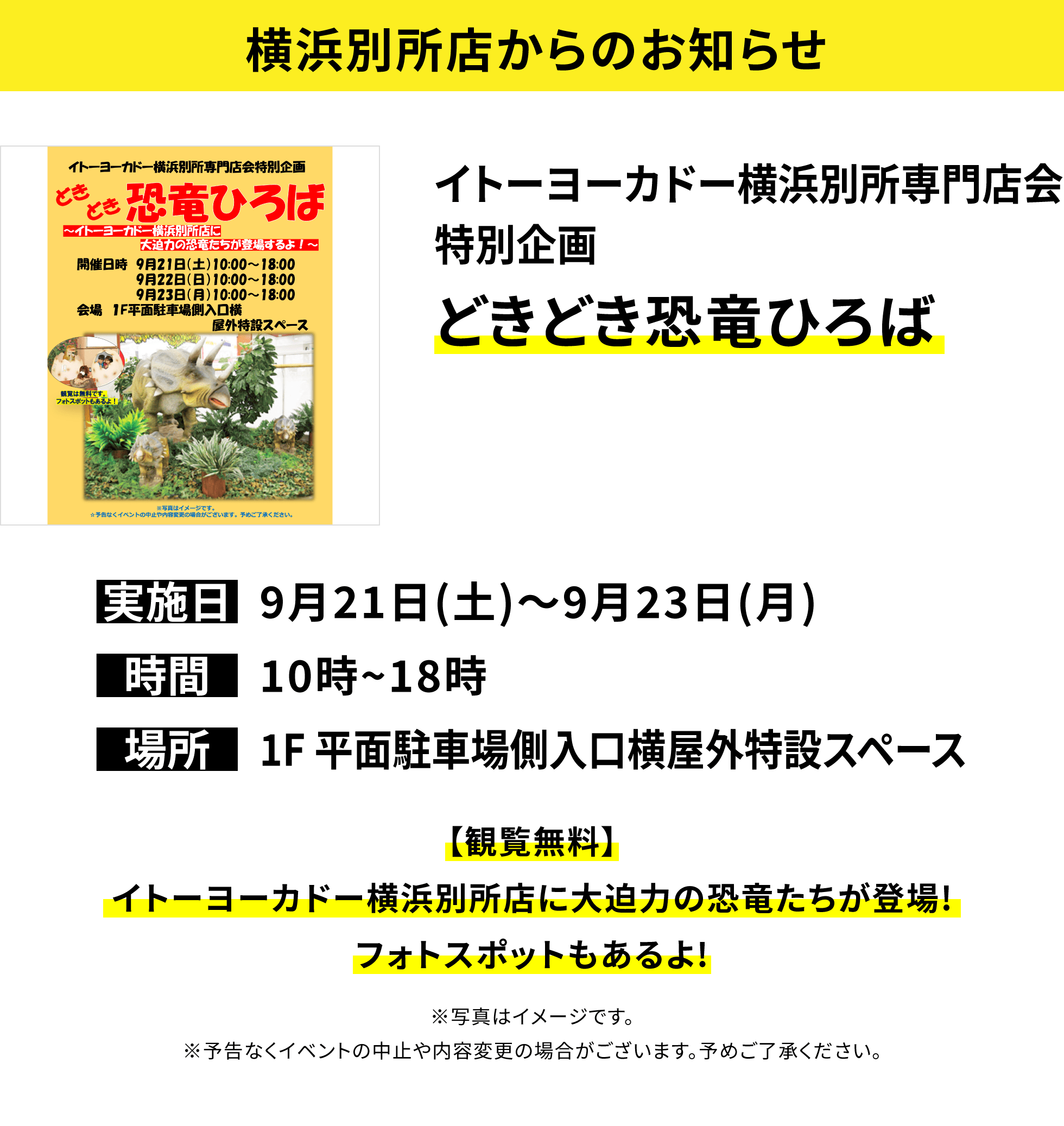 【横浜別所店からのお知らせ】イトーヨーカドー横浜別所専門店会特別企画 どきどき恐竜ひろば【観覧無料】イトーヨーカドー横浜別所店に大迫力の恐竜たちが登場!フォトスポットもあるよ!※写真はイメージです。※予告なくイベントの中止や内容変更の場合がございます。予めご了承ください。