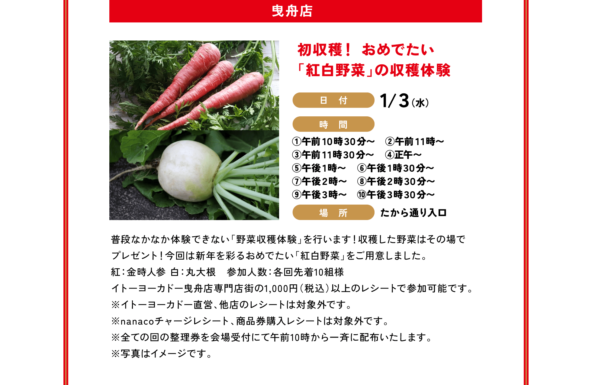 曳舟店 / 初収穫！ おめでたい「紅白野菜」の収穫体験